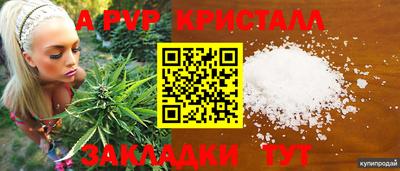 ешки Кудрово