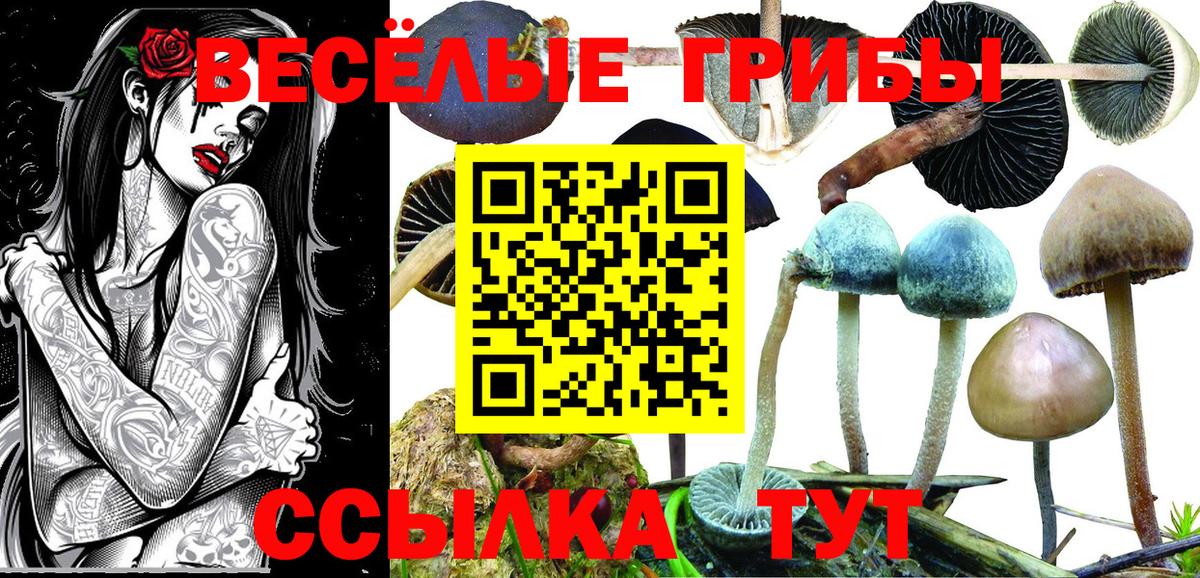 Псилоцибиновые грибы мухоморы  Вход с VPN  Волжский 